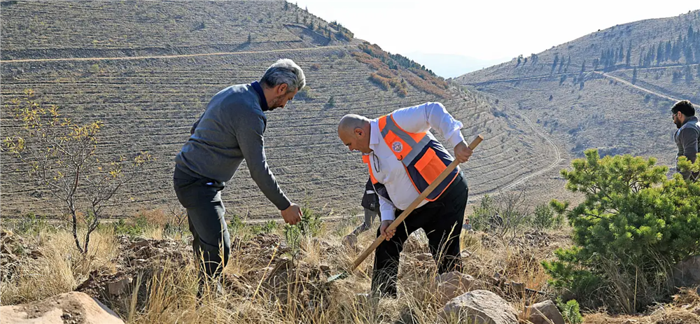 Talas Belediyesi'nden Ali Dağı'na 1.111 fidan